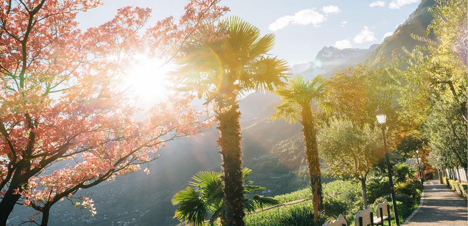 Hiking in Dorf Tirol
