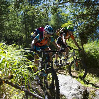 Mountain Biking in Parcines