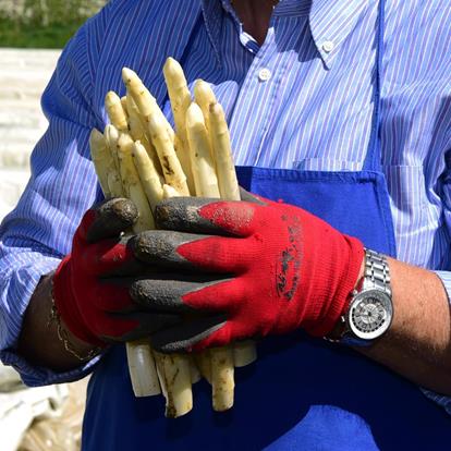 Producten uit Zuid-Tirol