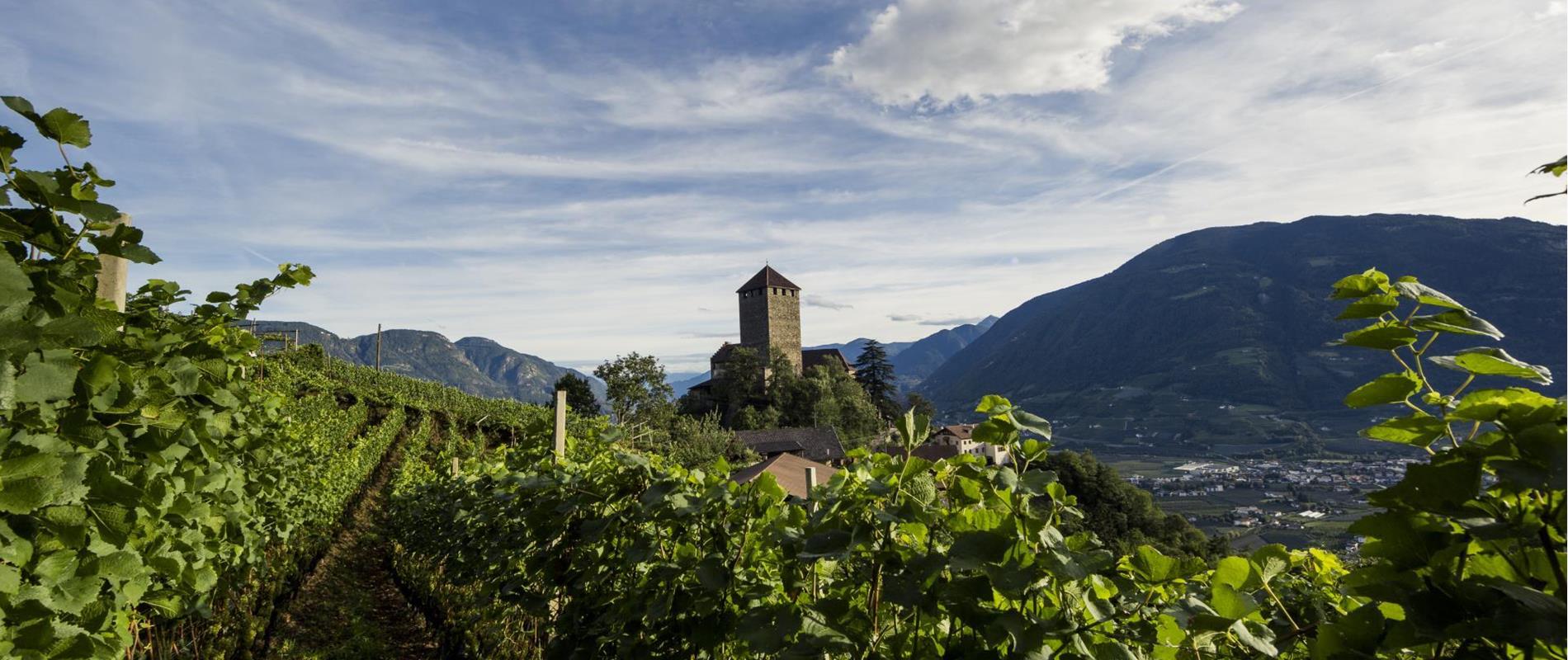 Partner von Dorf Tirol