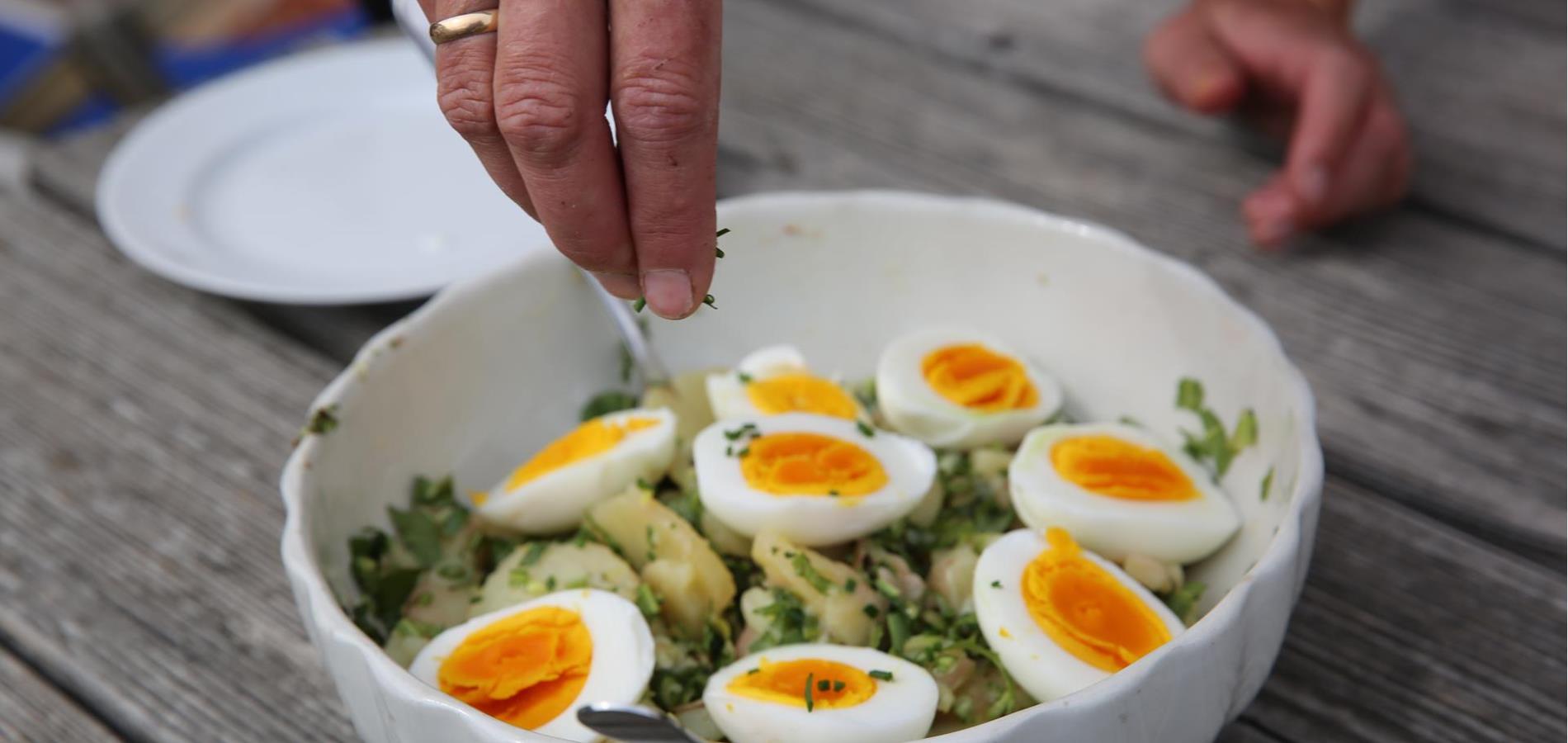 Dandelion salad