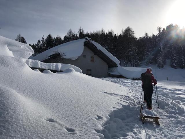 wandern-winter-naturnser-alm-tg-naturns-melanie-mueller-wa0024