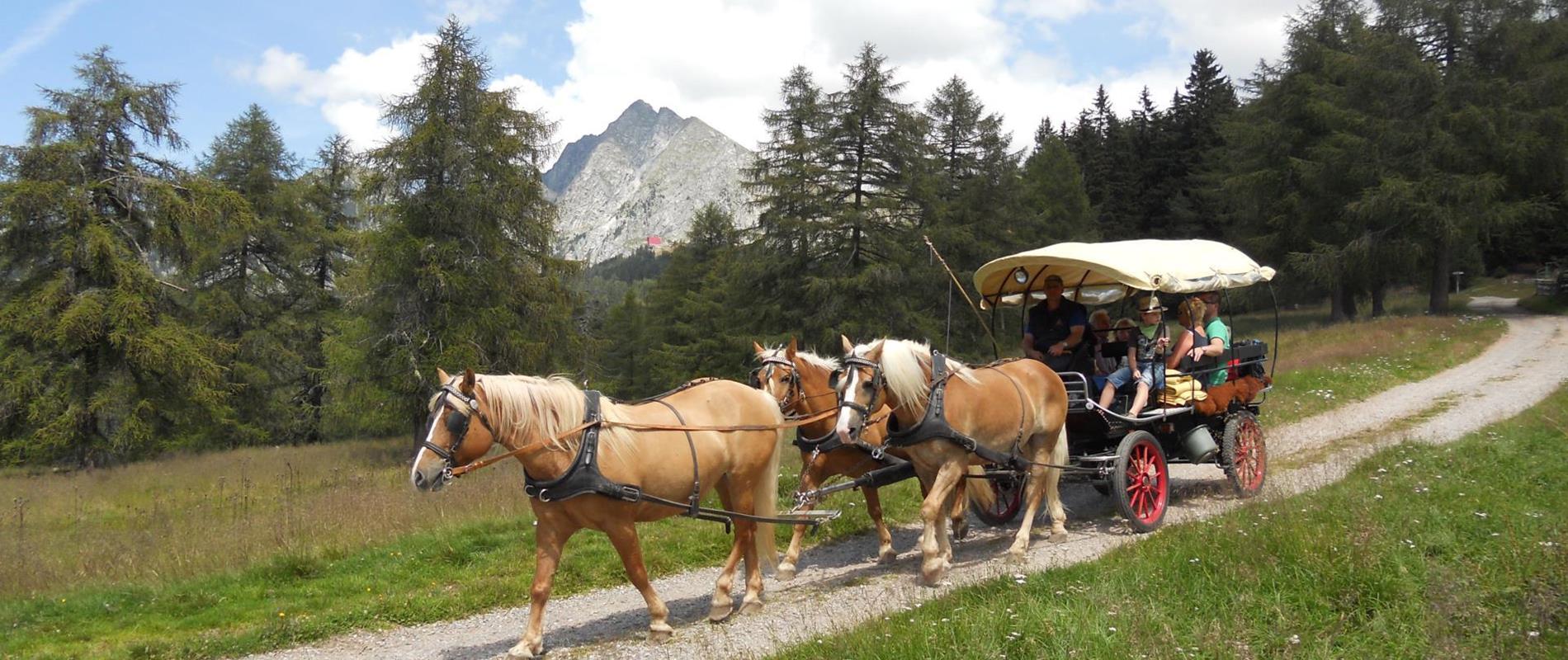 Koetsendienst & arrensleetochten tijdens in Avelengo en Merano 2000