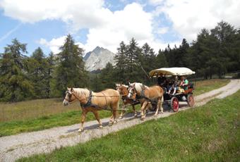 Carriage tours