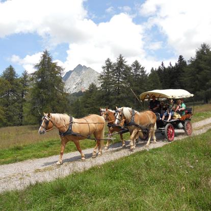 Reiten-Kutschenfahrt-Hafling-Voeran-Meran2000-nw