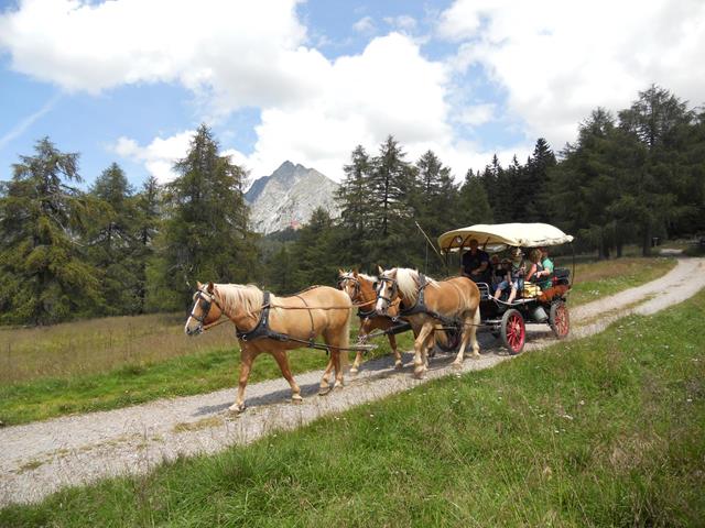 Reiten-Kutschenfahrt-Hafling-Voeran-Meran2000-nw