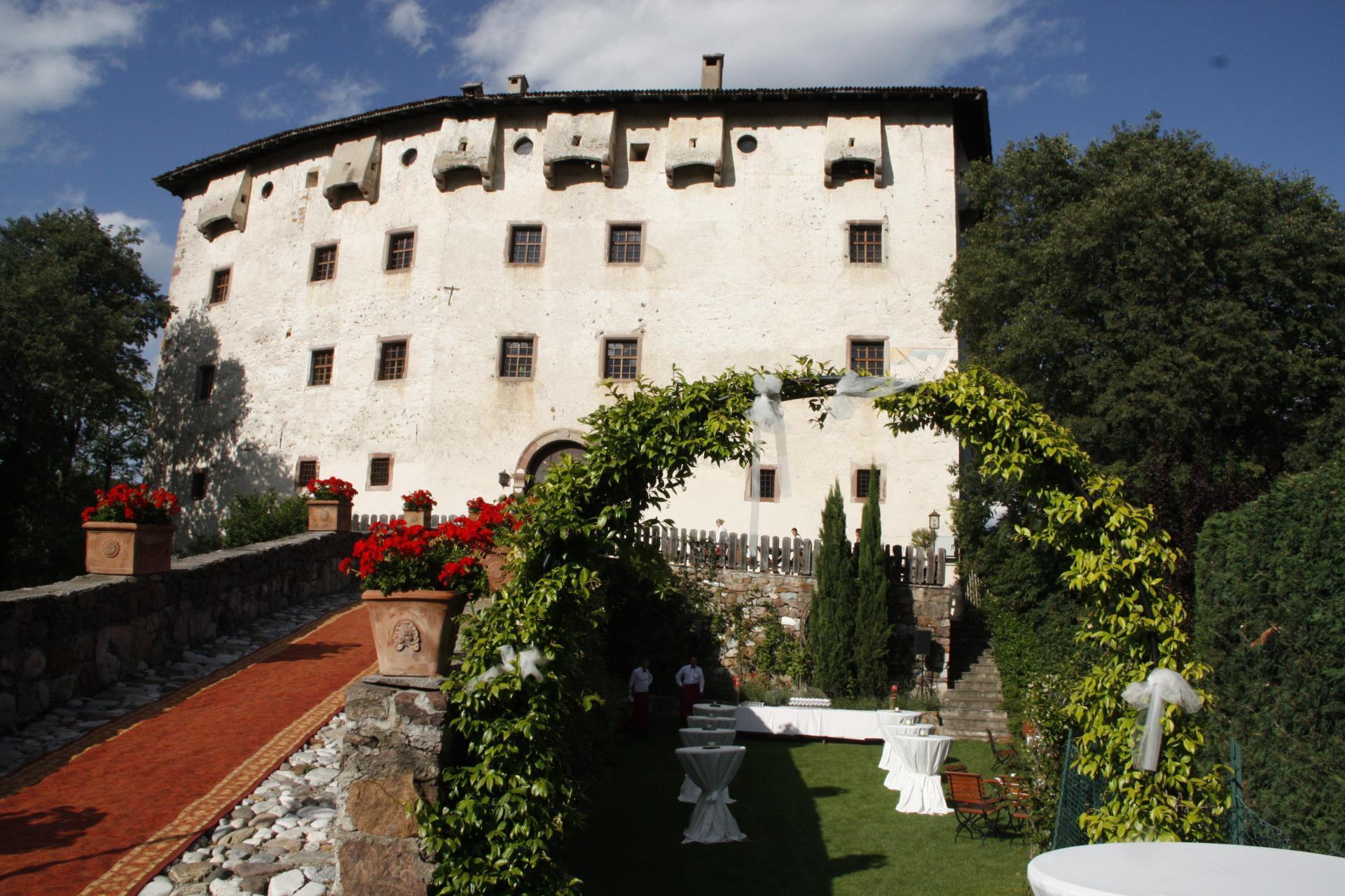 castel-katzenzungen-ernst-mueller