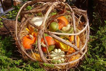 Festa della zucca