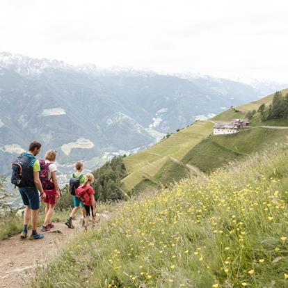 Der Meraner Höhenweg