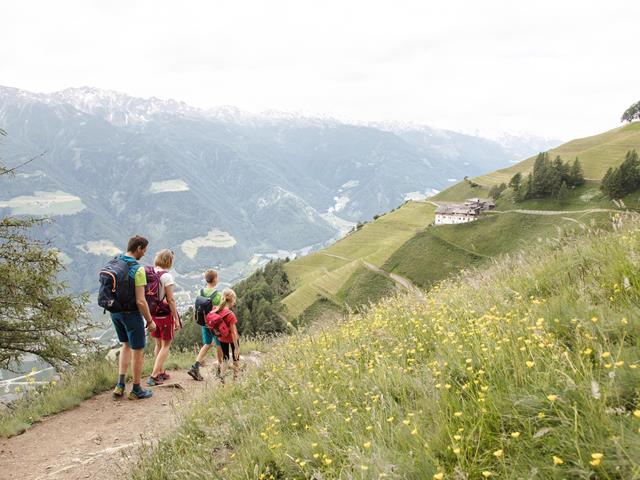 meraner-hoehenweg-wandern-pirchhof-tg-naturns-fotostudio2000-1