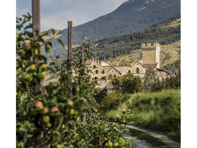 Churburg - Schluderns - Rittersaal - Vinschgau - IDM Südtirol / Tina Sturzenegger