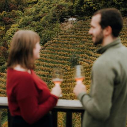 Degustazioni e altro nella regione di Lana in Alto Adige