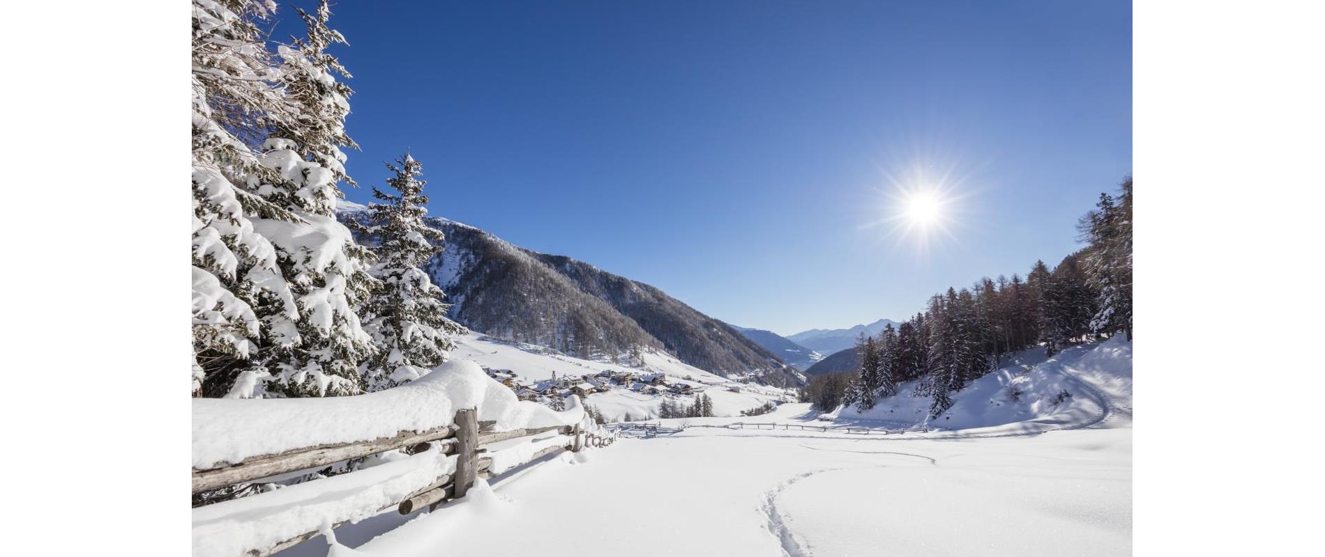 Winter Hiking