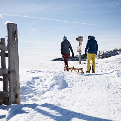 Passeggiate invernali ed escursioni con le ciaspole ad Avelengo, Verano, Merano 2000