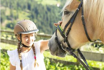 Riding with Haflinger horses