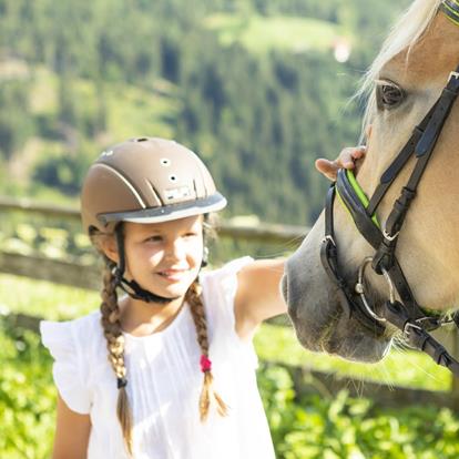 Bambino con cavallo avelignese in vacanza a cavallo in Alto Adige nella regione turistica di Avelengo, Vöran e Merano 2000