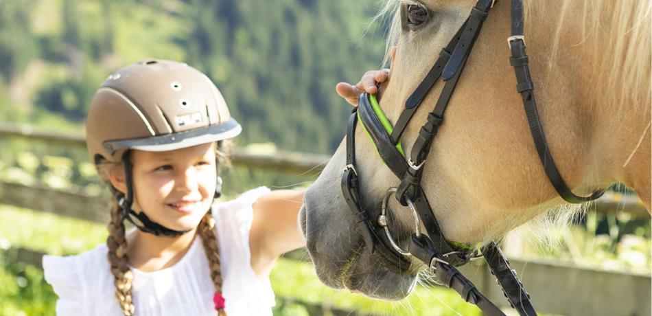 Maneggi & carrozze a cavallo