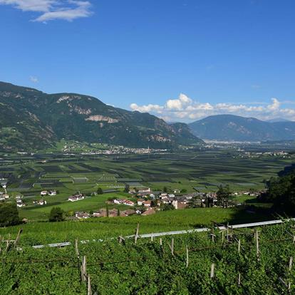 Guesthouses, Bed and Breakfasts and Inns in Nalles near Merano