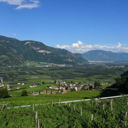 Pensioni, garni e locande a Nalles vicino Merano