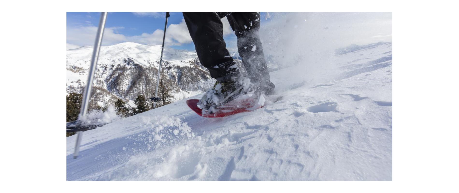 Snowshoe Hiking