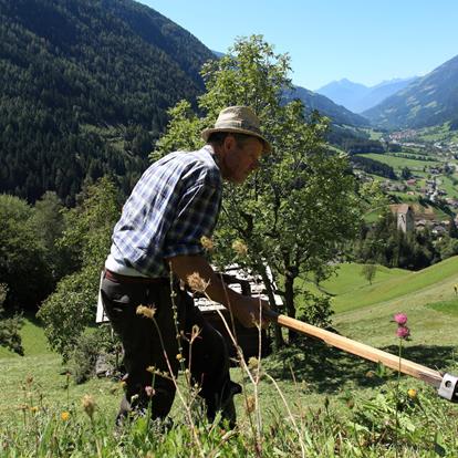 De streek & de bewoners van het Passeiertal