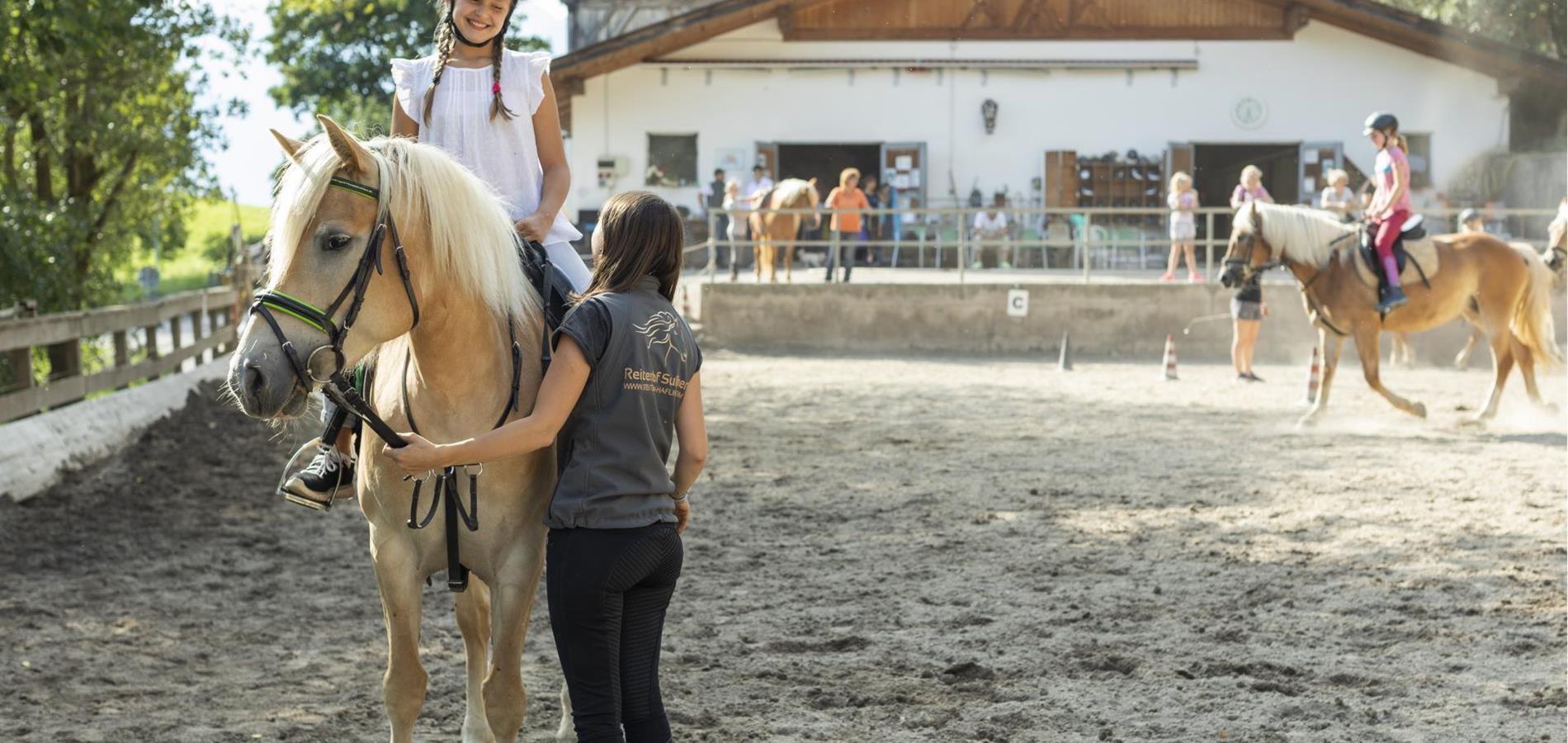 Riding-Haflinger-horse-paddock-Avelengo-Verano-Merano2000-ml