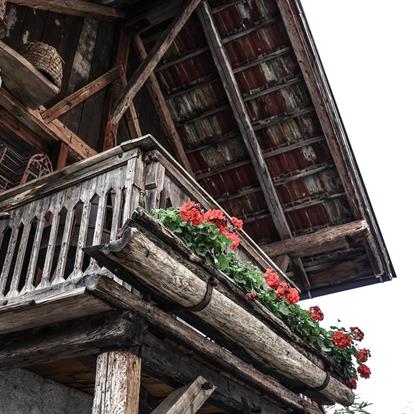 Farmer's museum Völlan/Foiana