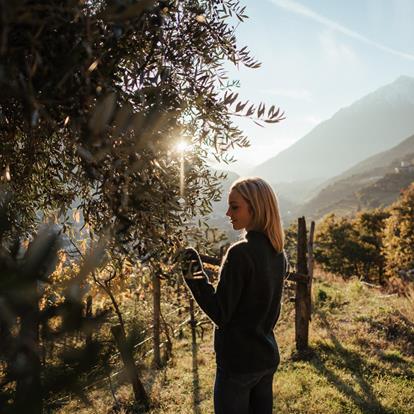 Urlaub auf dem Bauernhof in Dorf Tirol