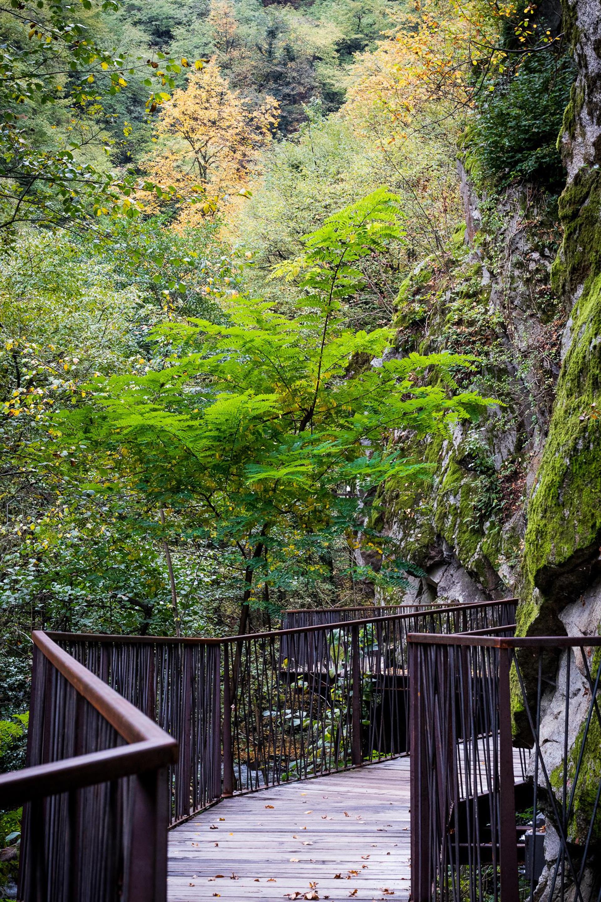 Gaulschlucht gorge Lana