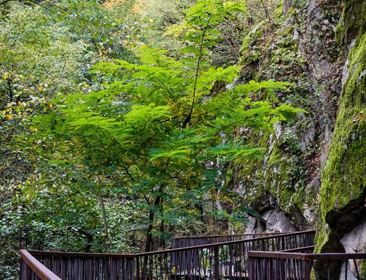 Gaulschlucht gorge Lana