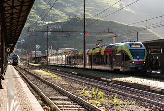 Concorso