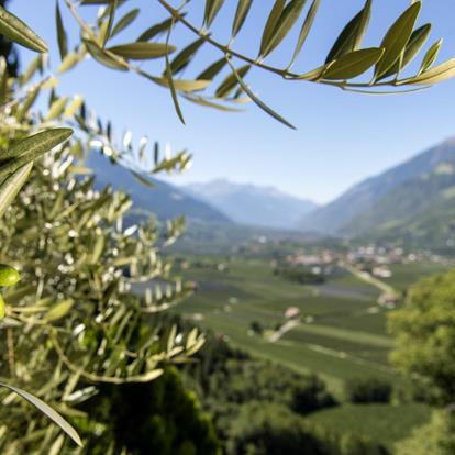 Il meteo a Parcines, Rablà e Tel