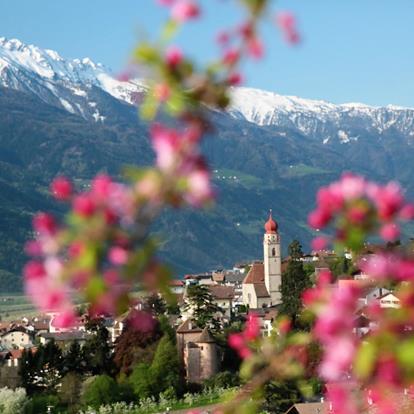 Primavera Meranese a Parcines