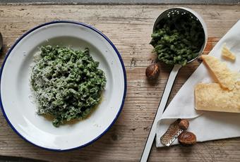 Wild Stinging Nettle Spaetzle