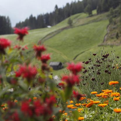 Stellen Sie unverbindlich eine Urlaubsanfrage