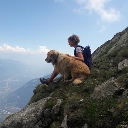 South Tyrol with you four-legged friends