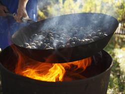 L’uomo che sussurrava… alle castagne