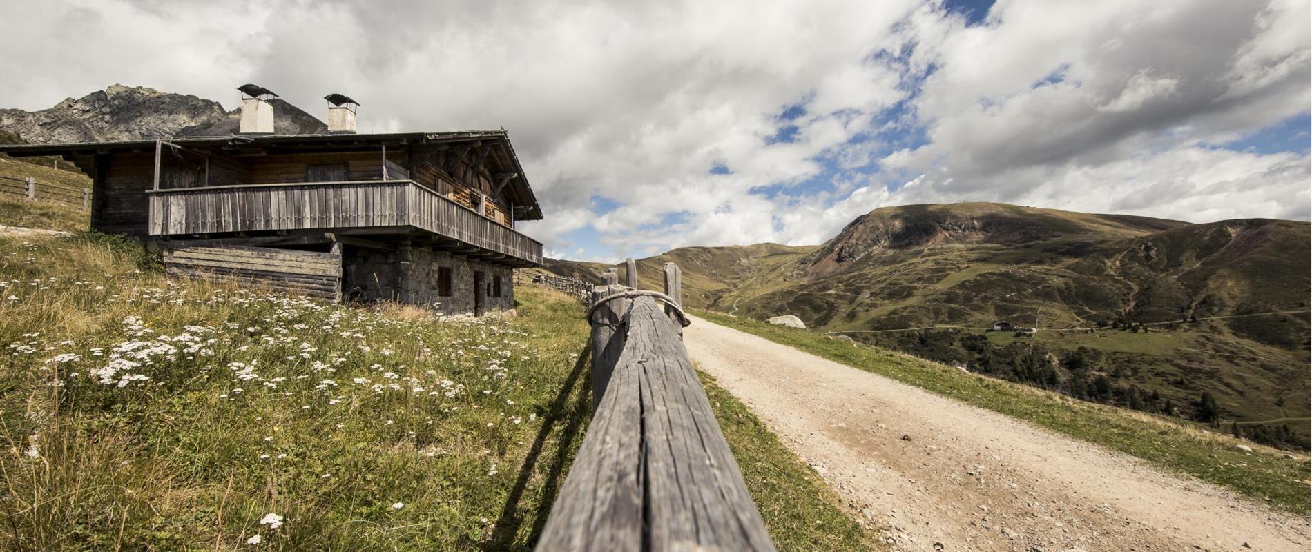 Hiking and mountain tours in Avelengo and Merano 2000