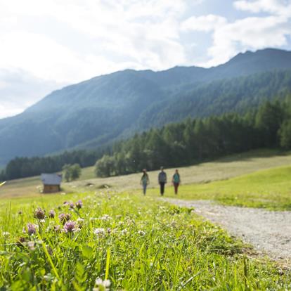 Explore the Schnalstal Valley