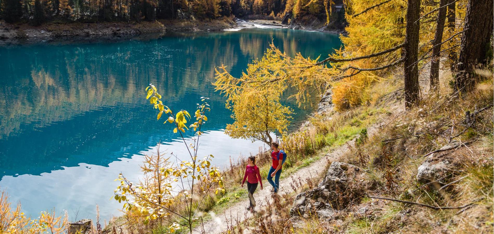 Goldener Herbst im Schnalstal