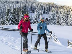 Winter on Mount Vigiljoch