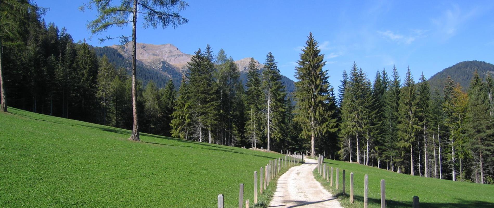 Cycling in Deutschnonsberg