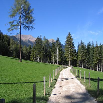 In bici in Alta Val di Non