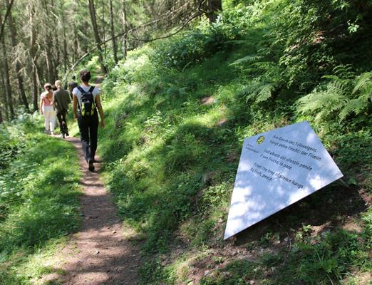 wandern-silentiumweg-schnalstal-kt