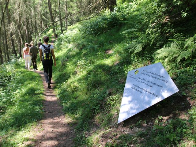 wandern-silentiumweg-schnalstal-kt