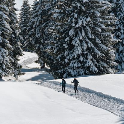 Winter in Lana und auf dem Vigiljoch