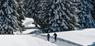 Winterwandern & Schneeschuhwandern