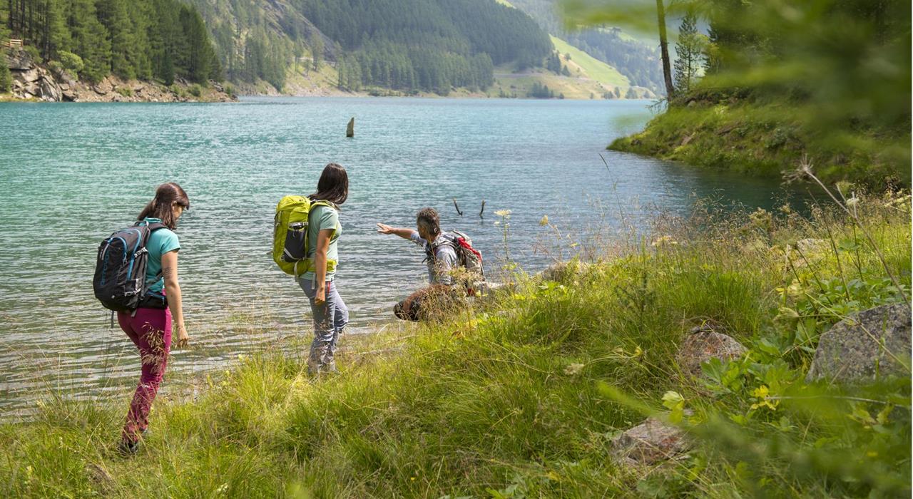 sommerwanderung-thomas-gruener-203