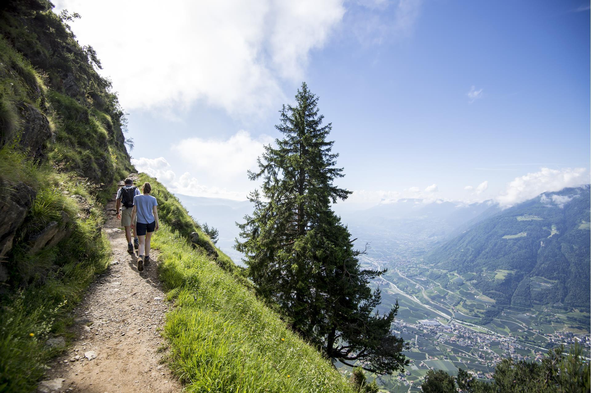 Meraner Höhenweg - Wandern - Südtirol - Meran