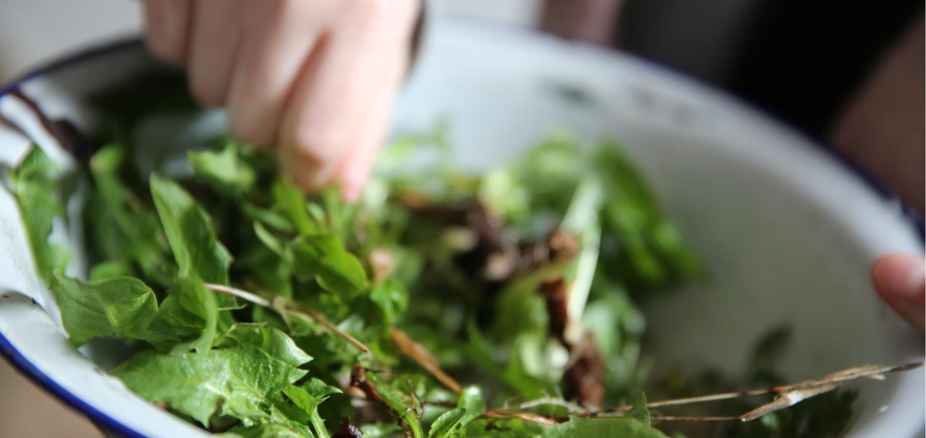 Dandelion salad